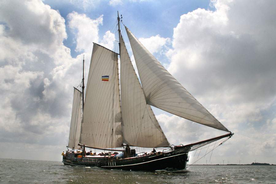 Den Seehunden auf der Spur - mit dem Segelschiff Pouwel Jonas 