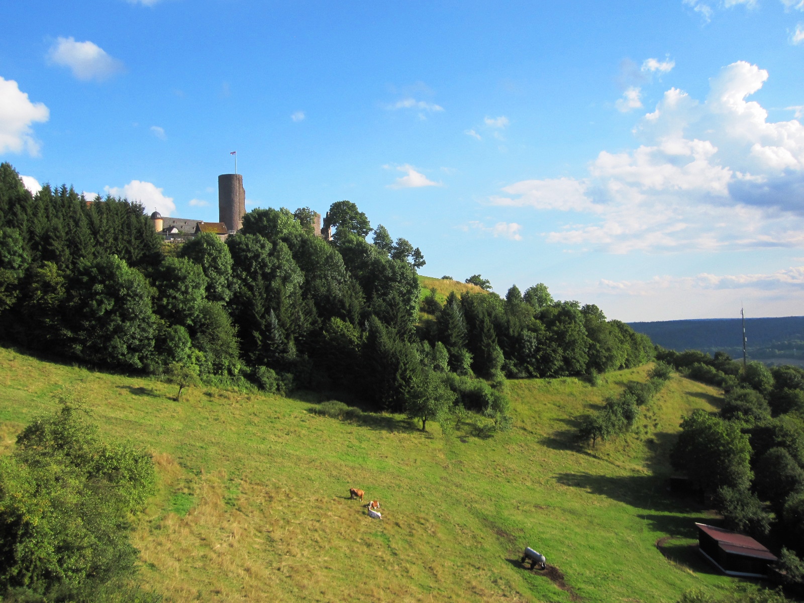 Burg Schwarzenfels 